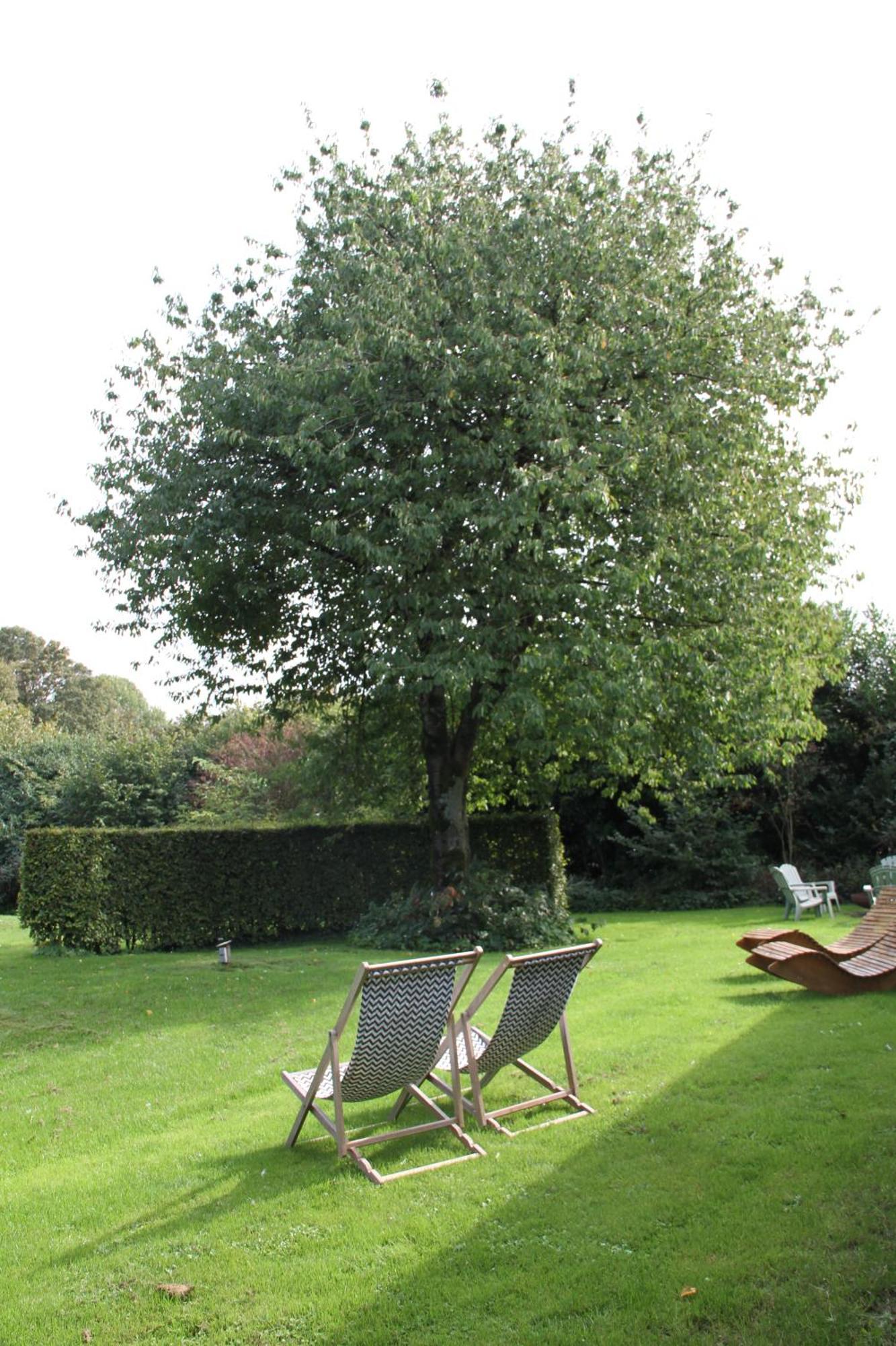 Familiehuis De Betuwe Met Prive Kunstgras Tennisbaan En Sauna Erichem Exterior foto